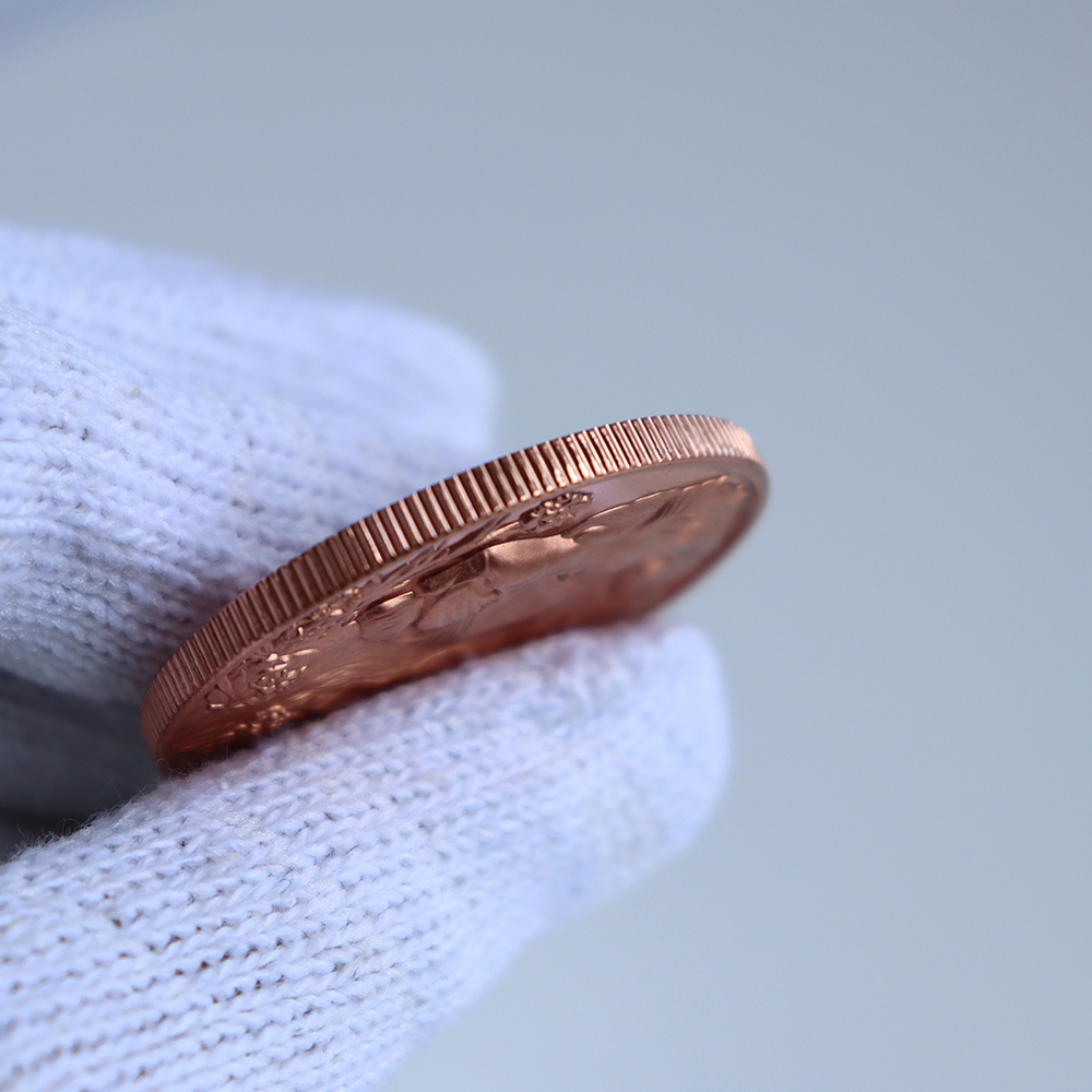 Custom Logo 1 OZ 999 Copper Coin with Africa Lions Design