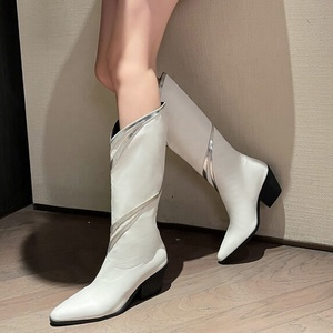 Botas de tacón de cuña grueso de nubuck para mujer, talla grande 46, estilo vaquero, con parte superior en V hasta la rodilla, punta puntiaguda, zapatos de invierno occidentales. - Product Image 4