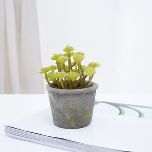 Spéciale incroyable artificielle plantes succulentes cactus herbe bonsaï avec <span class=keywords><strong>pot</strong></span> en béton pour la décoration - Product Image 3