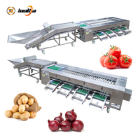 Industriële tomaten- en citrussorteermachine met automatische rollen, groente- en citrus sorteersysteem, industriële apparatuur