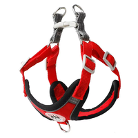 Ensemble de laisse et gilet réfléchissant classique et élégant pour chien, imperméable, anti-déchirure, avec bande réfléchissante, pour caniches