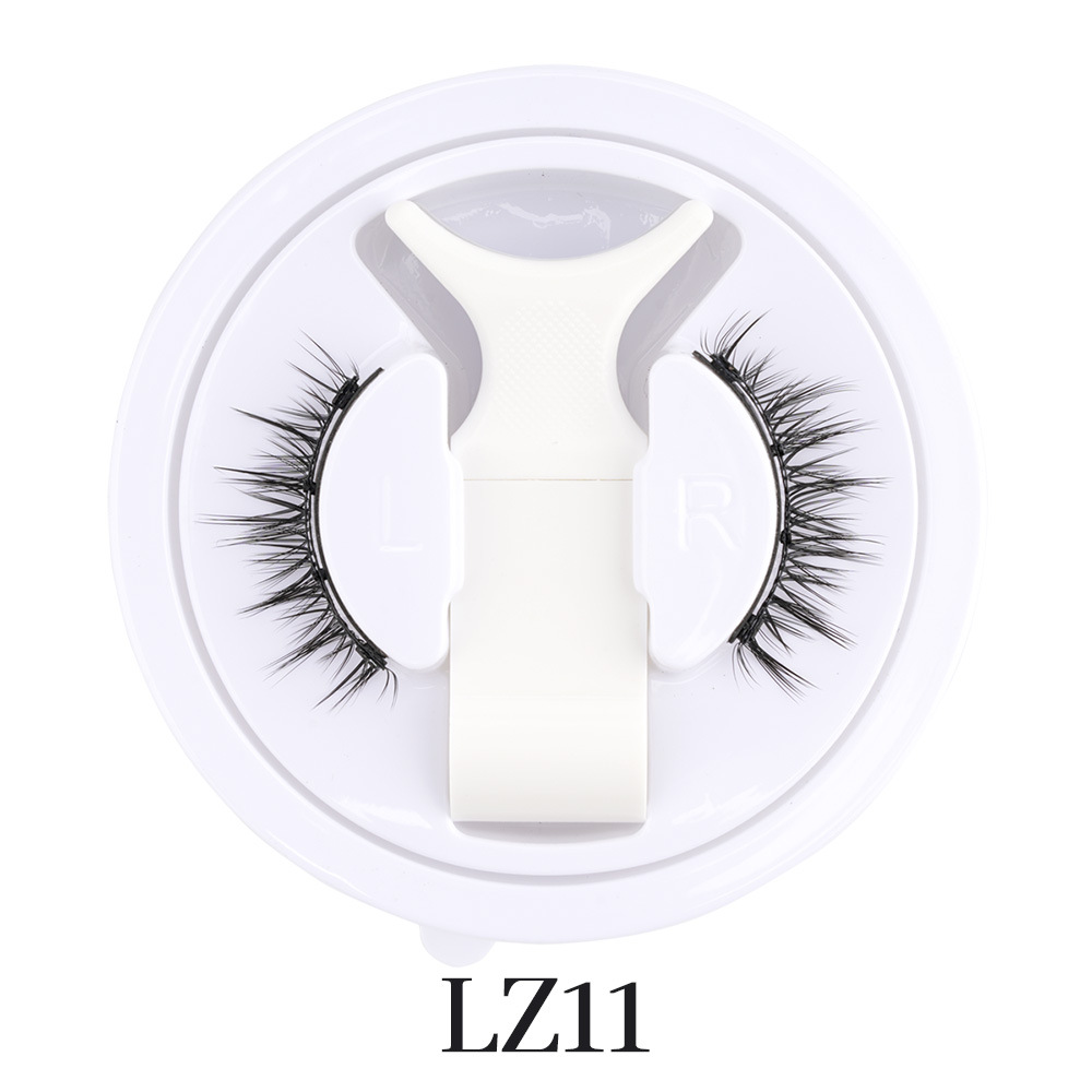 LZ11