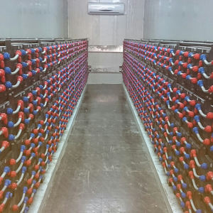 20 + 년 수명 양쯔강 opzv 배터리 2v 600ah - Product Image 6