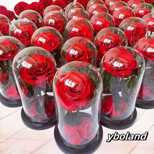 Caja de regalo con cubierta de cristal del Principito PARA EL Día DE LA Madre, Día de San Valentín, rojo, rosa, nunca se desvanecen, flores de regalo para regalos de fiesta - Product Image 2