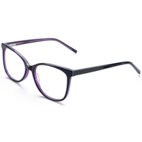Elan Optical RD26012 Meilleure Vente Monture de Lunettes Classique Oeil de Chat Plein Cercle en Acétate pour Femme Fourniture Directe Usine