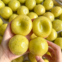 Jouet anti-stress en TPR de 6 cm, vert et rouge, sonore, à presser, avec effets sonores de slush, simulation de kiwi et de pomme de terre, fruits et légumes