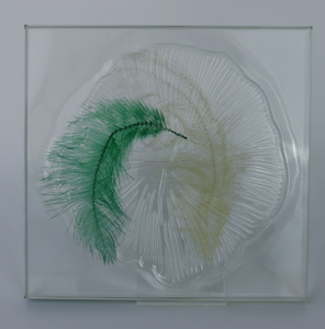Panneaux de verre stratifié avec incrustations de plumes naturelles, verre décoratif artistique pour la décoration intérieure de maisons, hôtels et espaces commerciaux. - Product Image 5