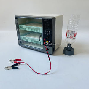 TUOYUN Precio <span class=keywords><strong>sorpresa</strong></span> Torneado automático 24 Incubadora de <span class=keywords><strong>huevos</strong></span> pequeños de pollo - Product Image 3