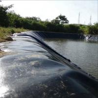Geomembrana de HDPE para Estanques de Peces, Fabricada en China, Grosor Personalizado para Proyectos de Acuicultura y Vertederos