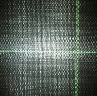 Paillis anti-mauvaises herbes à traitement UV à faible coût 1*1000m en rouleau pour jardin et serre