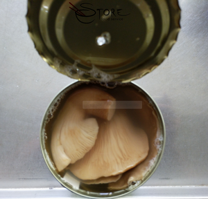 डिब्बाबंद मशरूम निर्यातकों की प्रतिस्पर्धी कीमत 425 जी - Product Image 2