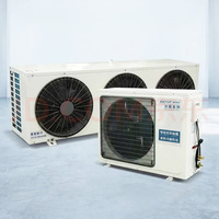 Unité de condensation à refroidissement air/eau certifiée CE avec dégivrage rapide à gaz chaud et compresseur scroll pour la réfrigération - Vente en gros