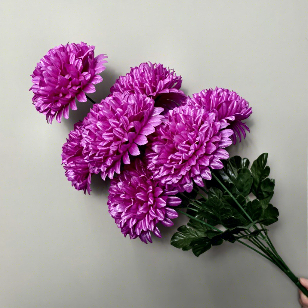Chrysanthème boule violette