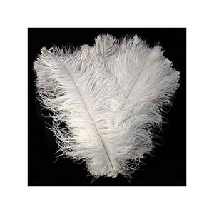 Les fournisseurs en gros d'importation offrent des plumes d'autruche blanches bon marché garniture motif lavé centres de table de mariage décoration à vendre - Product Image 1