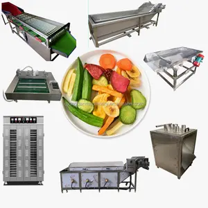 400kg/batch melon papaya slice dried apple chips production line dried mango processing machine dried fruit machines