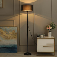 Lampadaire LED en fer de style minimaliste moderne américain pour salon, canapé, chevet, lumière d'ambiance, décoration de chambre à coucher et bureau de luxe