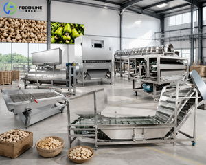 Máquina para Extraer Líquido de Cáscaras de Anacardos, Máquina para Remover y Romper Cáscaras de Nueces Pecanas, <span class=keywords><strong>Precio</strong></span> - Product Image 1