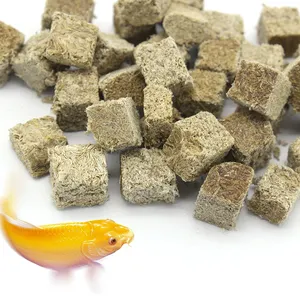 Minhoca tubifex seca congelada de alta qualidade para aquário peixes para venda