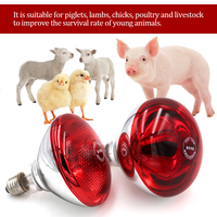 Lampe Chauffante Infrarouge Étanche de Haute Qualité pour Poussins Éleveuses et Animaux – Ampoule Chauffante Infrarouge à Vendre