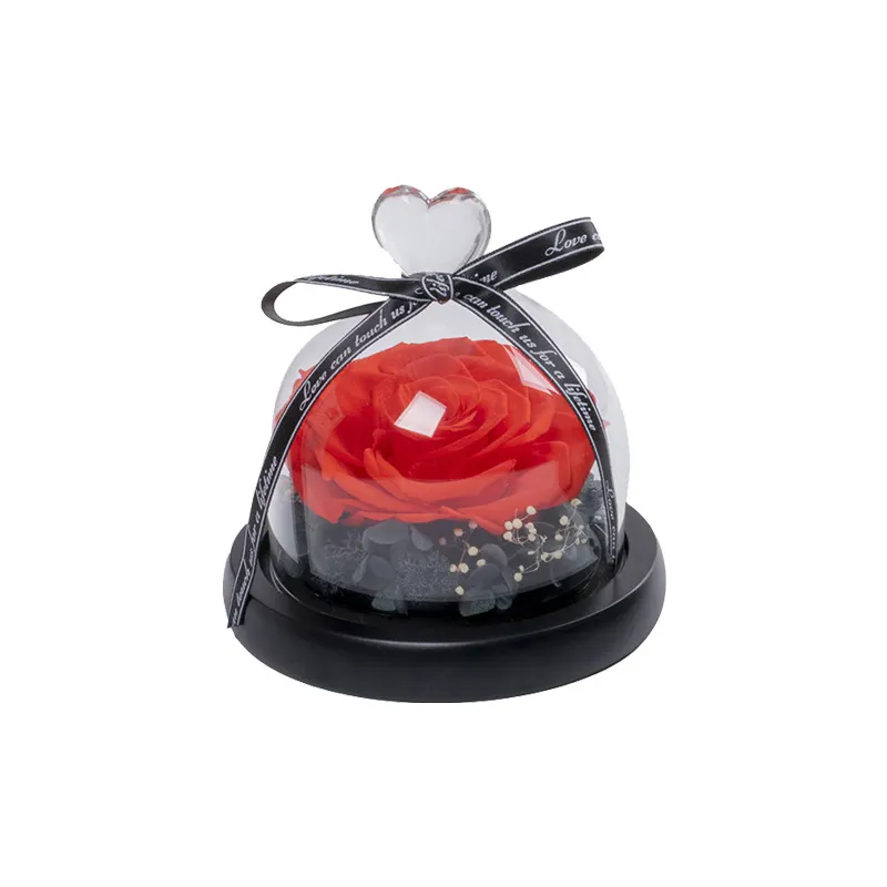 Hot Selling Valentine's Day Decoration Mothers Day Gift Preserved rose in Glass Dome Eternal Rose