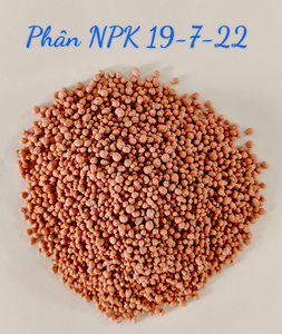 Engrais granulaire NPK 19-7-22 de haute qualité, origine Vietnam, marque AGRILONG, libération rapide - Product Image 2