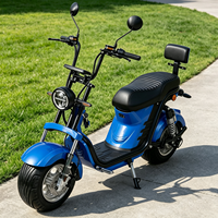 Trottinette Électrique 1000W en Gros, Batterie Lithium, Trottinette Électrique Intelligente à Deux Roues, Deux Places, Charge 200KG, Mobilité Urbaine pour Adultes