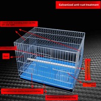 Cage d'élevage pour perroquets, cage d'élevage galvanisée, cage d'élevage robuste assemblée, vente en gros