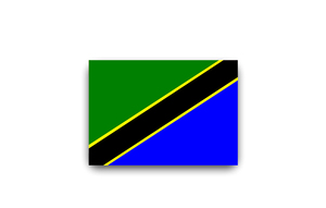 Drapeau tanzanien <span class=keywords><strong>en</strong></span> polyester personnalisé de haute qualité 3x5Ft avec des prix bon marché - Product Image 4