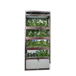 Hydroponic leafy green vegetable cultivate system for Spinach growing made in China