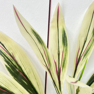 QYYM-229 Braziletto Fait à la Main Grande Taille <span class=keywords><strong>Strelitzia</strong></span> Reginae Oiseau Bachelor Fleur Artificielle - Product Image 2