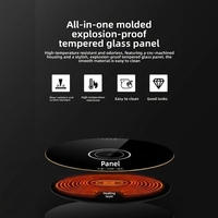 Plaque chauffante électrique portable pour la cuisine domestique, en acier inoxydable, à commande tactile réglable, de fabrication allemande