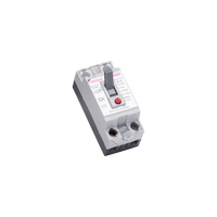 Disjoncteur différentiel miniature électrique 20A en gros BMC Factory, disjoncteur électrique miniature RCBO