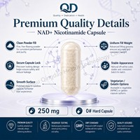 Capsules de Nicotinamide NAD végétaliennes non OGM 250 mg, directement de l'usine, pour lutter contre le vieillissement et l'augmentation de l'énergie, fabricant OEM