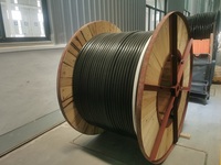 YJV32 1,8/3kV Kupferkern XLPE-Isoliert Feinstahl-Drahtarmiertes Stromkabel 25mm2 35mm2 50mm2 70mm2