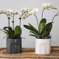 Pot de fleur pour plante d'intérieur et d'extérieur Décoration de jardin à la mode Jardinières succulentes en ciment