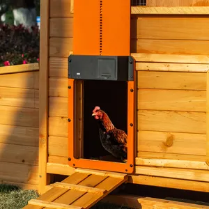 Venda caminhada na porta de cocô de galinha com temporizador, porta automática de galinha feita de inverno, porta deslizante para sua cocô de galinha