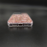 Coque arrière blindée à paillettes pour iPhone 13 Mini Pro Max, avec des fleurs séchées, couverture complète antichoc, colle artisanat