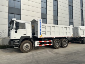 ราคาจีน รถดัมพ์ Shacman X3000 H3000 F3000 6*4 10 ล้อ ใหม่ พร้อมเครื่องยนต์ Cummins/Weichai - Product Image 5