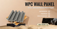 Panneaux de cloison en WPC pour intérieur, panneaux muraux en PVC, lames en WPC, panneaux de grande muraille