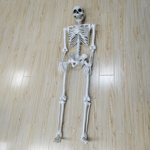 Model kerangka anatomi manusia 150cm dengan Model kerangka ukuran kehidupan manusia ligamen untuk sains medis - Product Image 5