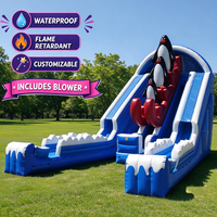 Toboggan aquatique gonflable professionnel en PVC bleu, simple voie, 30 pieds, personnalisable OEM/ODM, avec arroseur