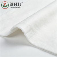 Géotextile en filament non tissé WSL 300g 400g 500g pour le projet de filtration des fonds de voies ferrées et la protection routière contre la contamination