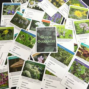 Emballage de cartes d'affirmation personnalisées pour enfants Fun Africa Fact <span class=keywords><strong>Culture</strong></span> Learning Flash Cards - Product Image 6