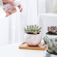 Pot de fleurs en céramique de petite taille, texturé marbre, émaillé, de haute qualité, avec trou de drainage, écologique, pour pépinière