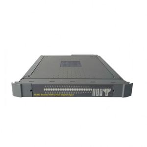 Ensemble de terminaison d'output numérique ICS TRIPLEX T8403CX - 8 canaux doubles, 24V Haute fiabilité pour le contrôle industriel - Product Image 1