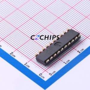 DSIC10LSGER DIP Switch Switch ( Number of Switch Sections: 10 )( Lead Spacing: 2.54mm ) - Product Image 2