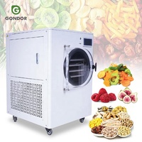 6-bakjes vriesdroger, kleine machine voor fruit, voedsel, groenten, vacuüm voor voedsel, aanrechtmodel, automatisch