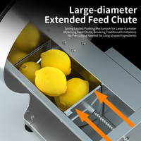 Commerciële elektrische automatische roestvrijstalen multi-blad hoge-efficiëntie groente- en fruitsnijder voor citroenchips