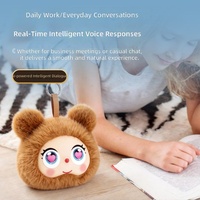 Altavoz Asistente de Voz con IA de Peluche, Directo de Fábrica, con Pantalla de 2 Pulgadas, para 80 Idiomas, Batería de 1000 mAh, Salida de 2W, para Uso en Interiores y Exteriores