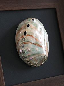 Peintures décoratives en coquillages naturels pour la salle à manger des invités, la chambre à coucher, la table <span class=keywords><strong>de</strong></span> présentation <span class=keywords><strong>de</strong></span> coquillages et les ornements <span class=keywords><strong>de</strong></span> bureau <span class=keywords><strong>de</strong></span> style antique - Product Image 5
